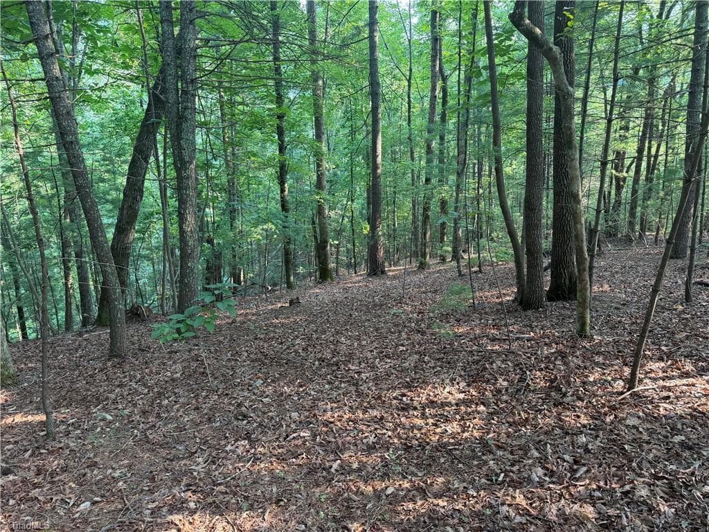 Unimproved Land at 0000 N Old NC Highway 16, Millers Creek NC 28651, photo 18 of 39