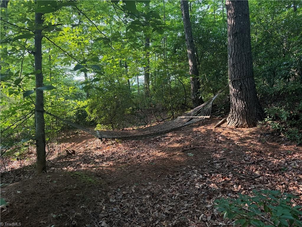 Unimproved Land at 0000 N Old NC Highway 16, Millers Creek NC 28651, photo 19 of 39