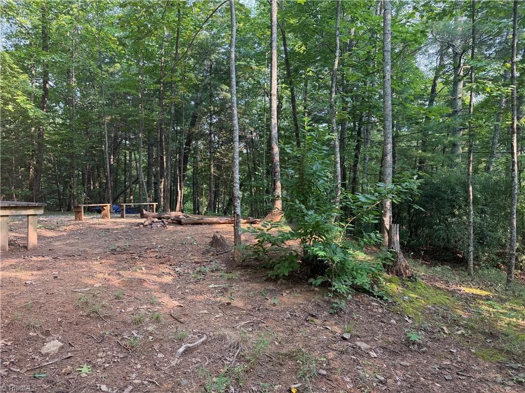 Unimproved Land at 0000 N Old NC Highway 16, Millers Creek NC 28651, photo 25 of 39