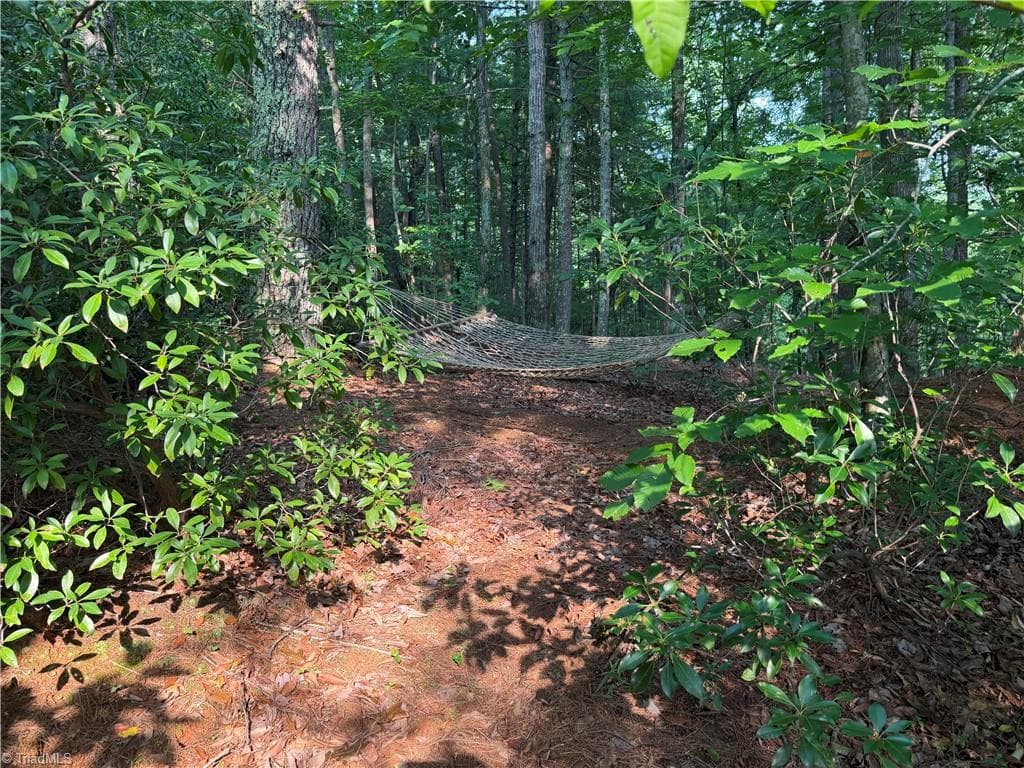 Unimproved Land at 0000 N Old NC Highway 16, Millers Creek NC 28651, photo 21 of 39