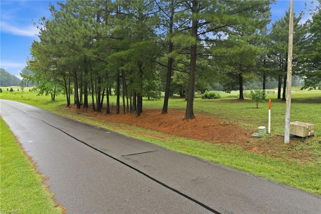 Single Family Residence at 0 Oak Tree Drive, Blanch NC 27212, photo 3 of 19