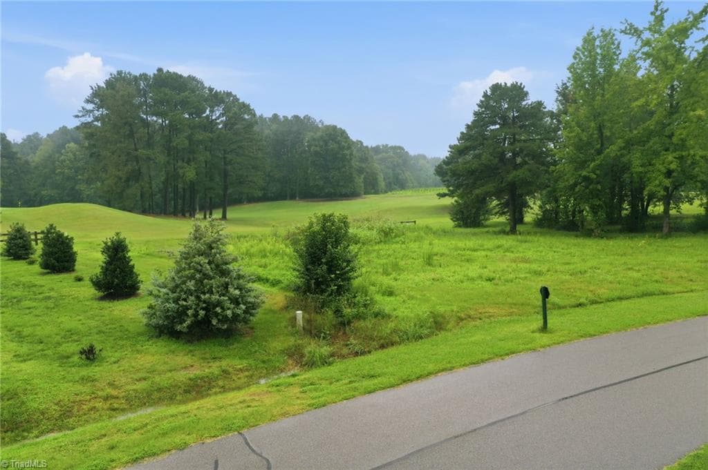 0 Oak Tree Drive, Blanch NC 27212