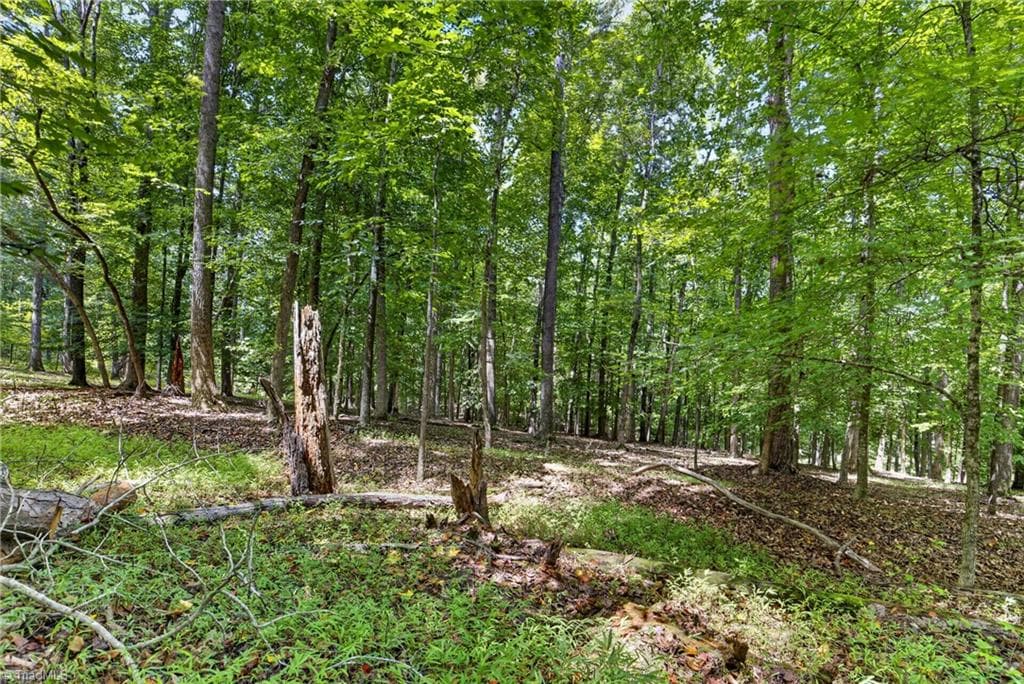Stick/Site Built at 4262 NC Highway 49 S, Asheboro NC 27205, Asheboro, photo 91 of 96