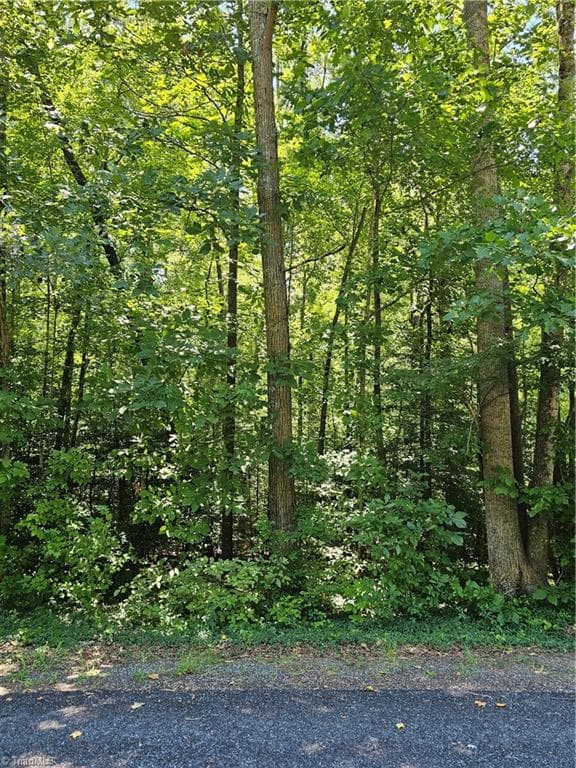 Lot 408 Pine Road, Lexington NC 27292