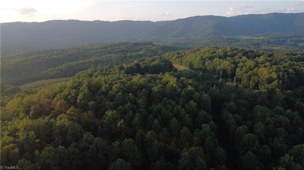 Unimproved Land at 4749 Wards Gap Road, Cana VA 24317, Cana, photo 5 of 14