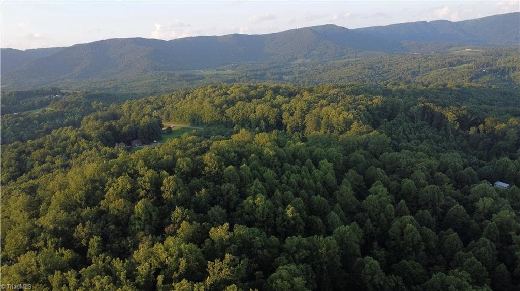 Unimproved Land at 4749 Wards Gap Road, Cana VA 24317, Cana, photo 10 of 14