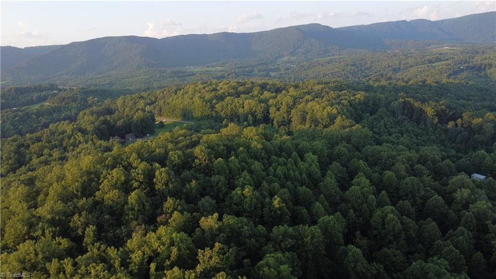 Unimproved Land at 4749 Wards Gap Road, Cana VA 24317, Cana, photo 4 of 14