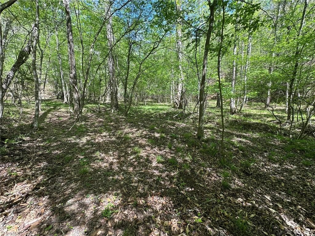 Unimproved Land at 000 NC Highway 268, Wilkesboro NC 28697, photo 23 of 49