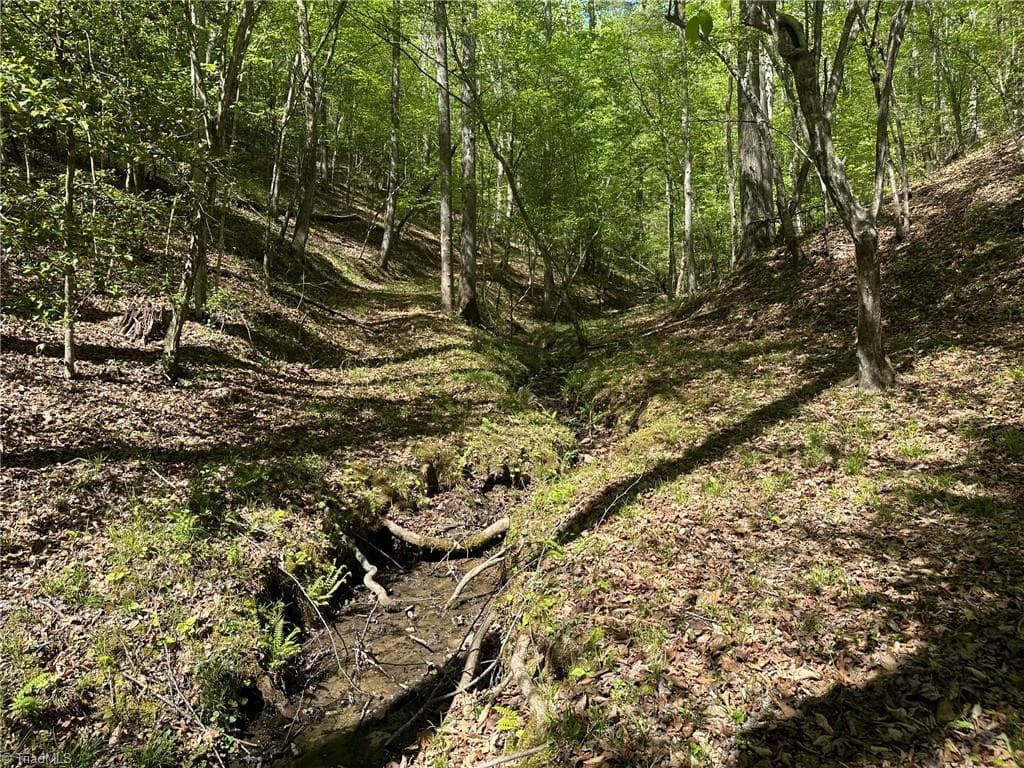 Unimproved Land at 000 NC Highway 268, Wilkesboro NC 28697, photo 27 of 49