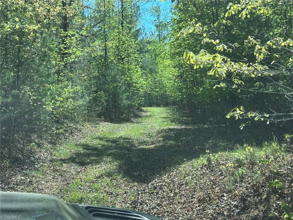 Unimproved Land at 000 NC Highway 268, Wilkesboro NC 28697, photo 6 of 49