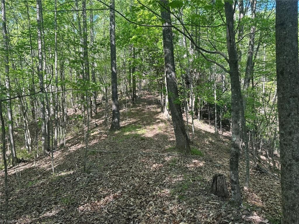 Unimproved Land at 000 NC Highway 268, Wilkesboro NC 28697, photo 42 of 49