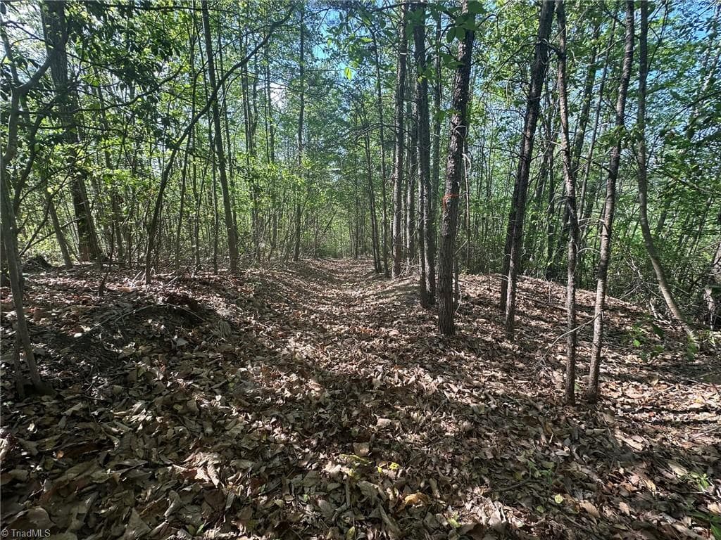 Unimproved Land at 000 NC Highway 268, Wilkesboro NC 28697, photo 46 of 49