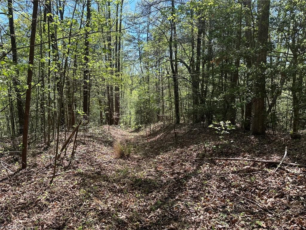 Unimproved Land at 000 NC Highway 268, Wilkesboro NC 28697, photo 13 of 49