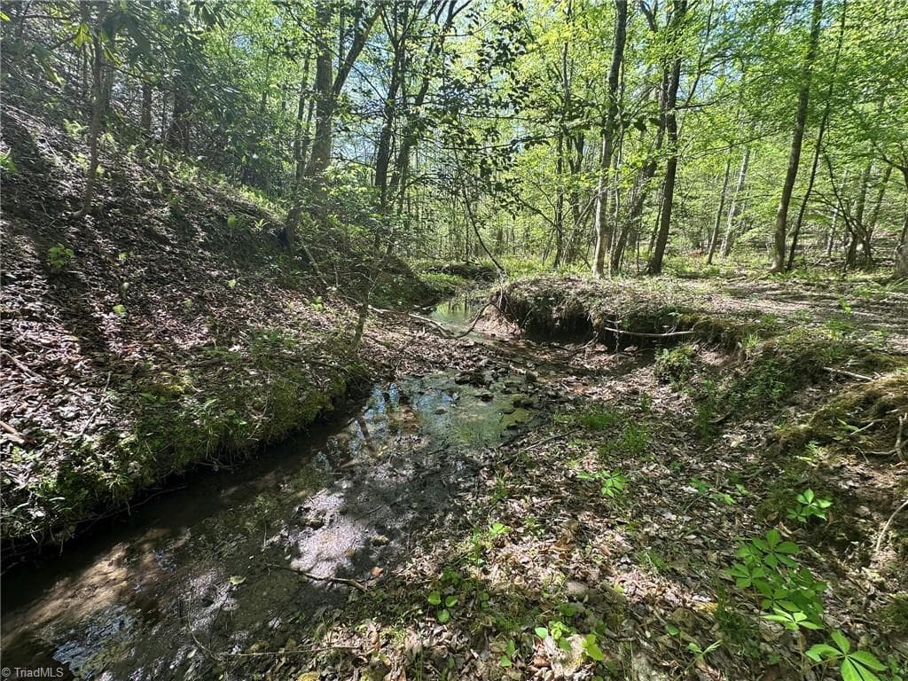 Unimproved Land at 000 NC Highway 268, Wilkesboro NC 28697, photo 17 of 49