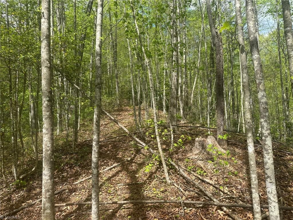 Unimproved Land at 000 NC Highway 268, Wilkesboro NC 28697, photo 47 of 49