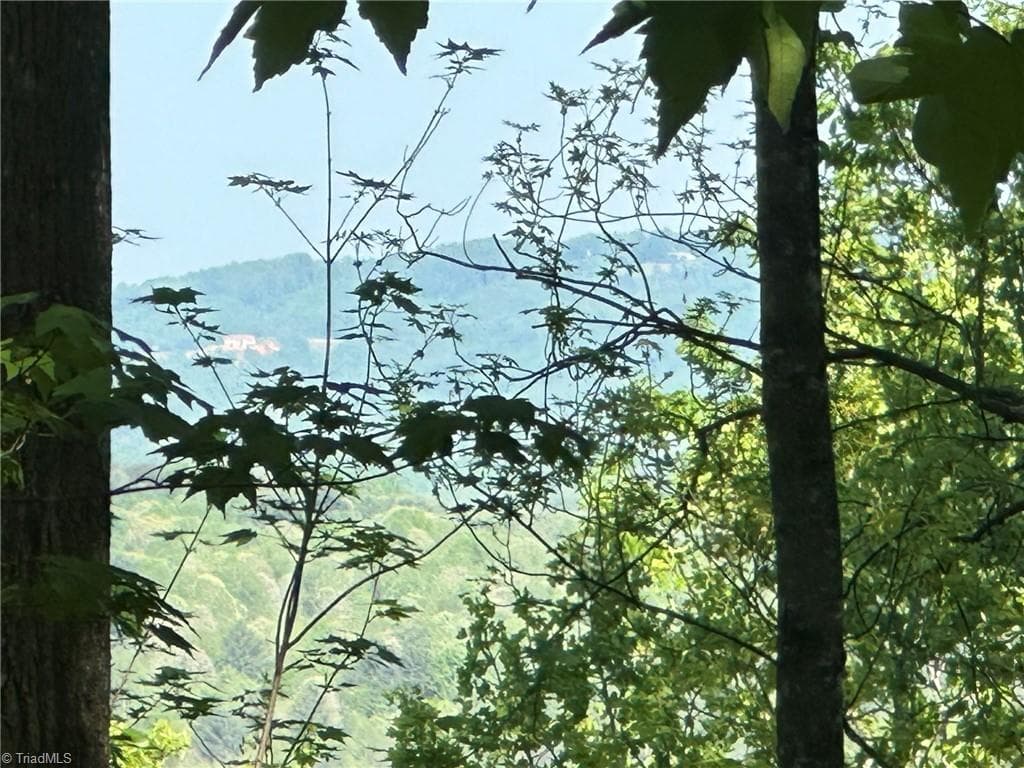 Unimproved Land at 000 NC Highway 268, Wilkesboro NC 28697, photo 43 of 49
