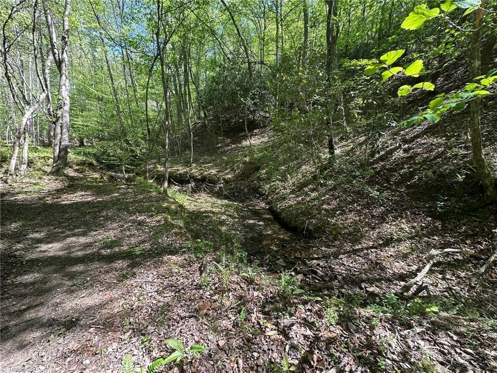 Unimproved Land at 000 NC Highway 268, Wilkesboro NC 28697, photo 16 of 49