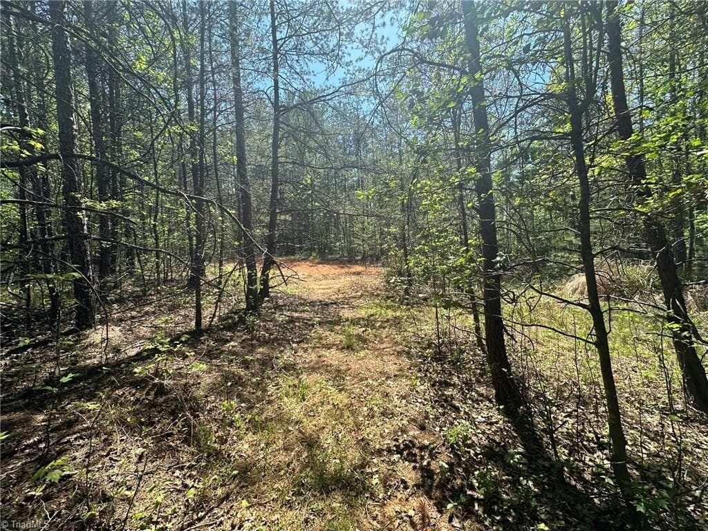 Unimproved Land at 000 NC Highway 268, Wilkesboro NC 28697, photo 12 of 49