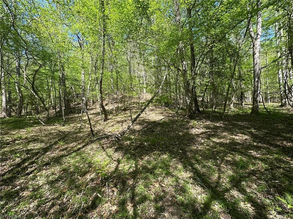 Unimproved Land at 000 NC Highway 268, Wilkesboro NC 28697, photo 26 of 49