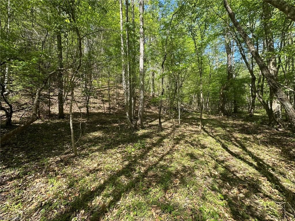 Unimproved Land at 000 NC Highway 268, Wilkesboro NC 28697, photo 22 of 49
