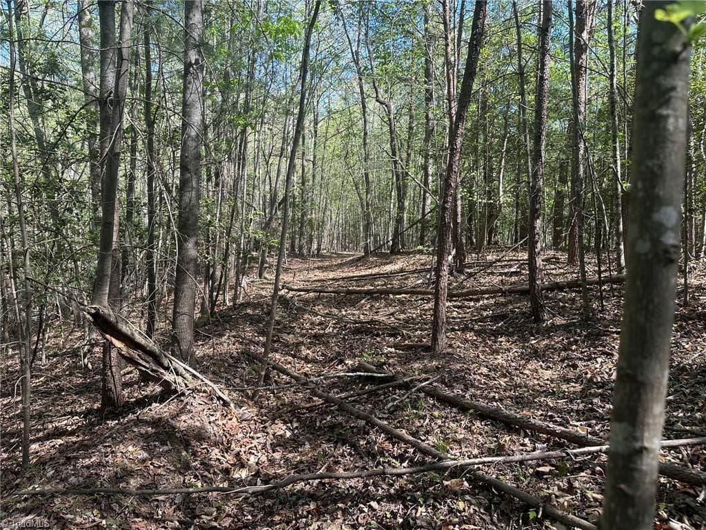 Unimproved Land at 000 NC Highway 268, Wilkesboro NC 28697, photo 36 of 49