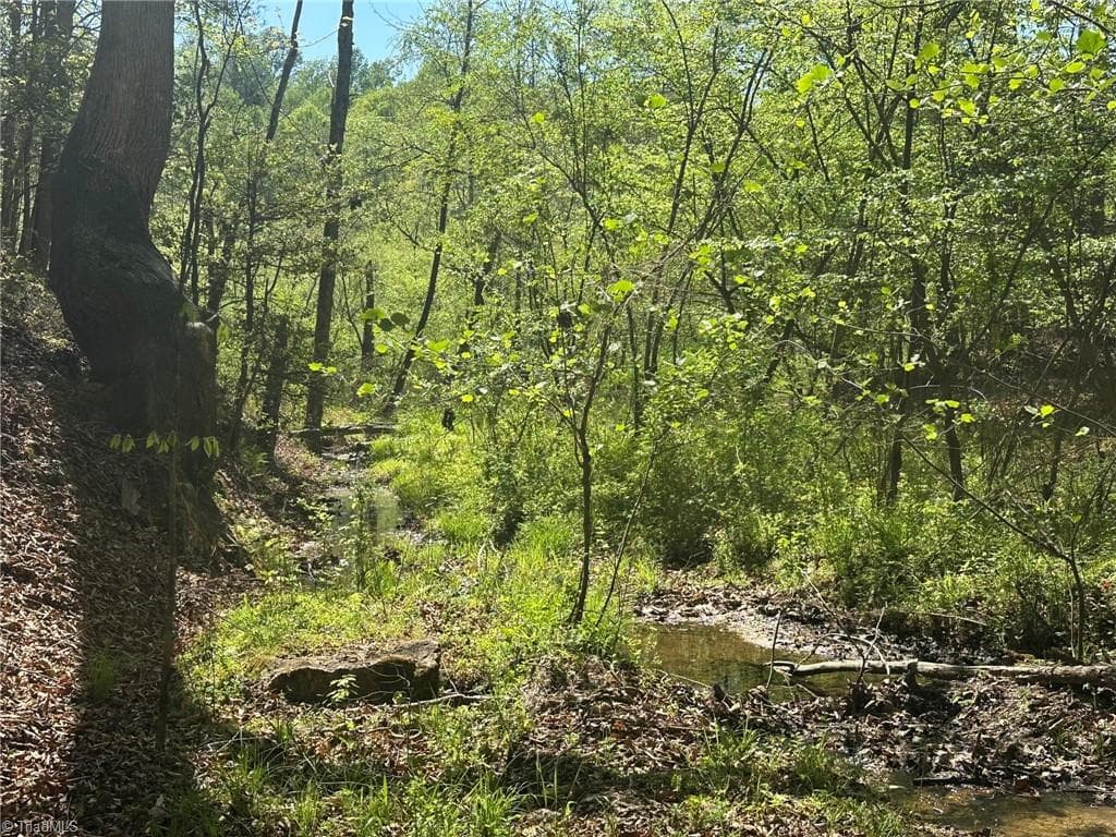 Unimproved Land at 000 NC Highway 268, Wilkesboro NC 28697, photo 32 of 49
