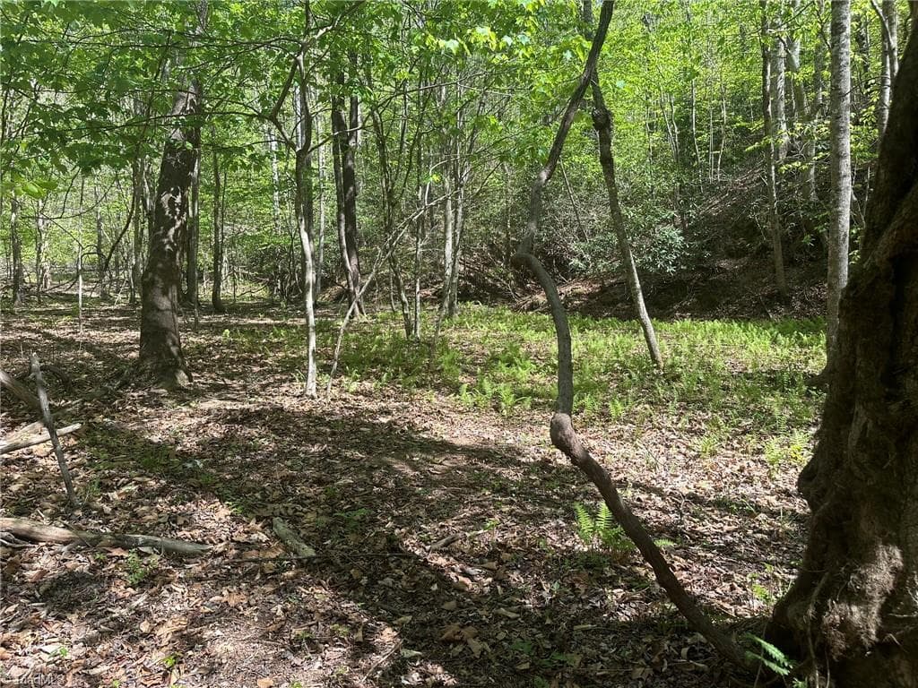 Unimproved Land at 000 NC Highway 268, Wilkesboro NC 28697, photo 28 of 49