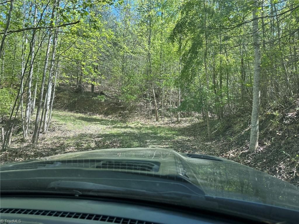 Unimproved Land at 000 NC Highway 268, Wilkesboro NC 28697, photo 5 of 49