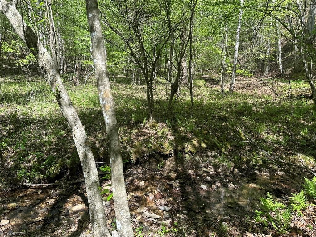 Unimproved Land at 000 NC Highway 268, Wilkesboro NC 28697, photo 20 of 49