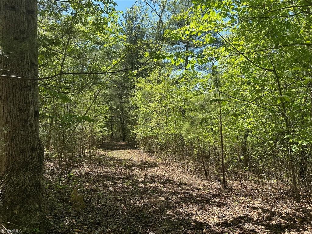 Unimproved Land at 000 NC Highway 268, Wilkesboro NC 28697, photo 9 of 49