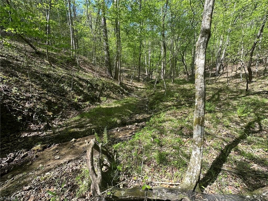 Unimproved Land at 000 NC Highway 268, Wilkesboro NC 28697, photo 24 of 49