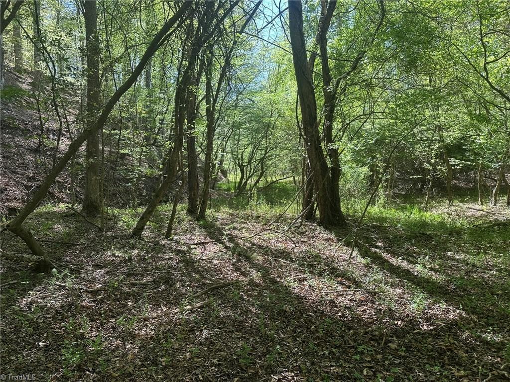 Unimproved Land at 000 NC Highway 268, Wilkesboro NC 28697, photo 30 of 49