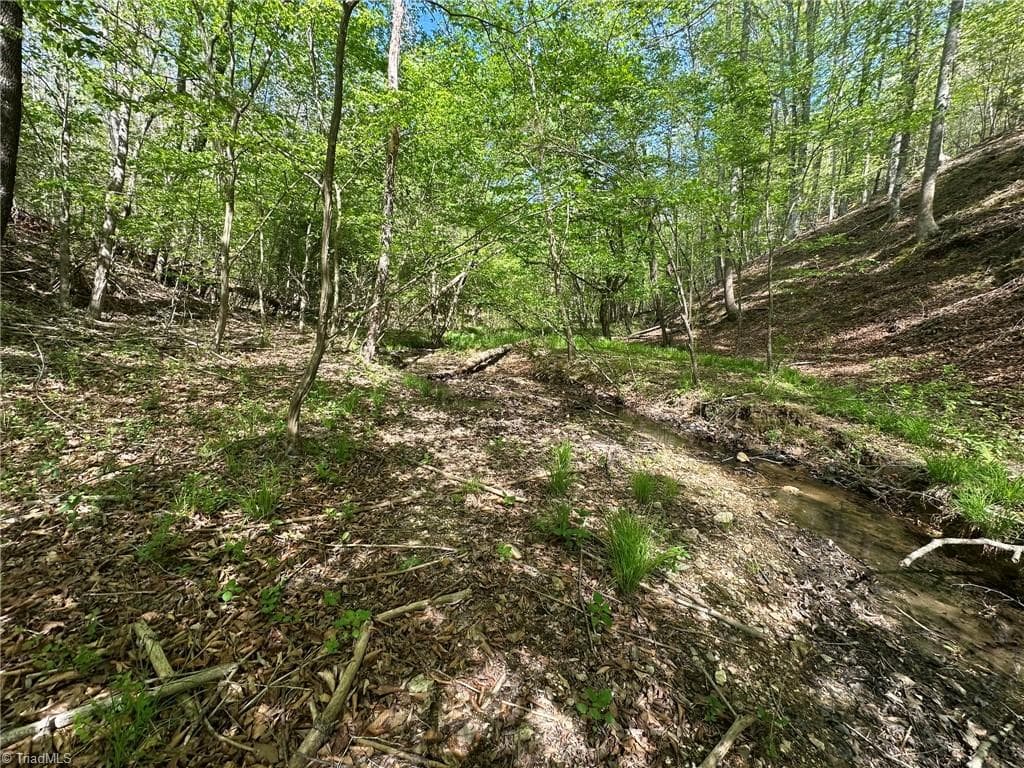 Unimproved Land at 000 NC Highway 268, Wilkesboro NC 28697, photo 34 of 49