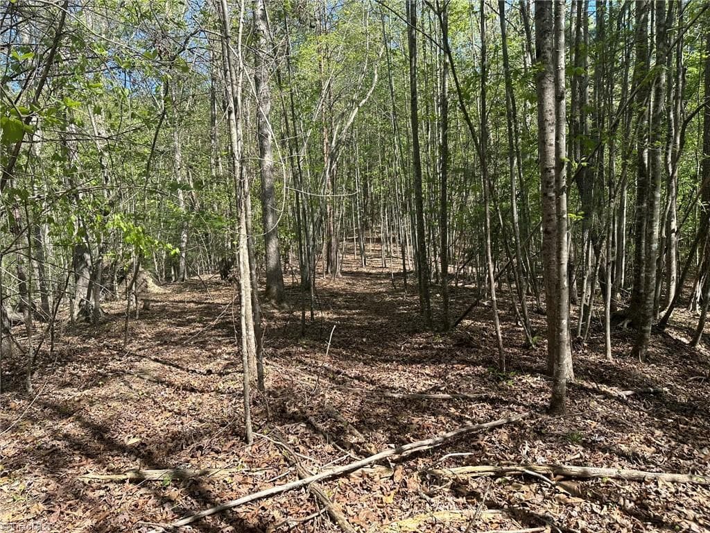Unimproved Land at 000 NC Highway 268, Wilkesboro NC 28697, photo 38 of 49