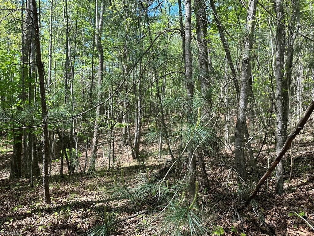 Unimproved Land at 000 NC Highway 268, Wilkesboro NC 28697, photo 10 of 49