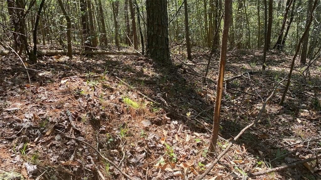 Unimproved Land at 000 NC Highway 268, Wilkesboro NC 28697, photo 49 of 49