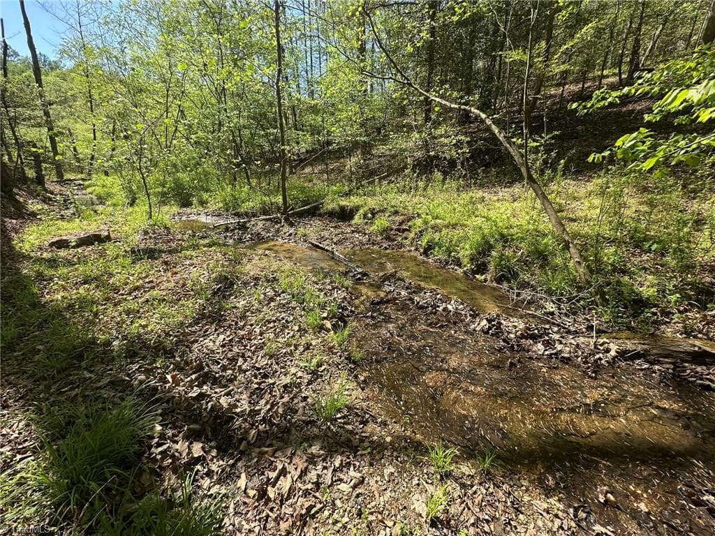 Unimproved Land at 000 NC Highway 268, Wilkesboro NC 28697, photo 33 of 49