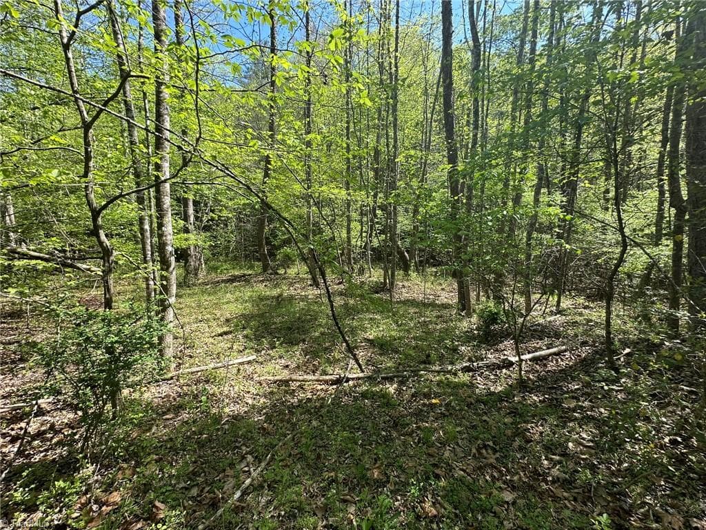 Unimproved Land at 000 NC Highway 268, Wilkesboro NC 28697, photo 14 of 49