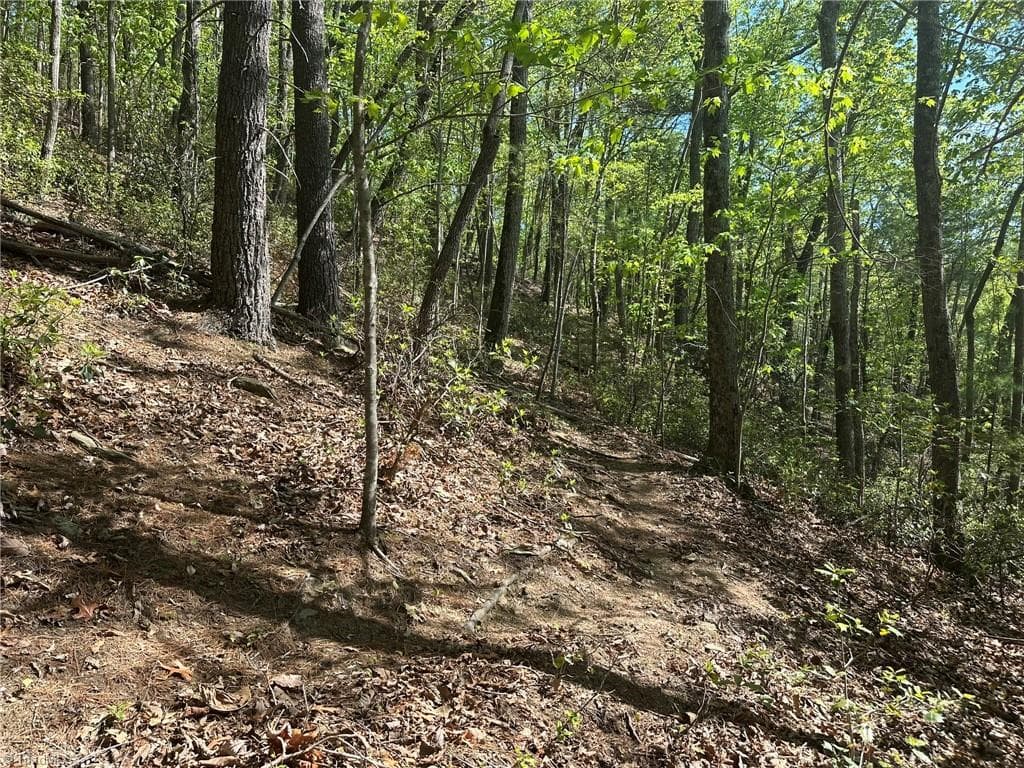 Unimproved Land at 000 NC Highway 268, Wilkesboro NC 28697, photo 41 of 49