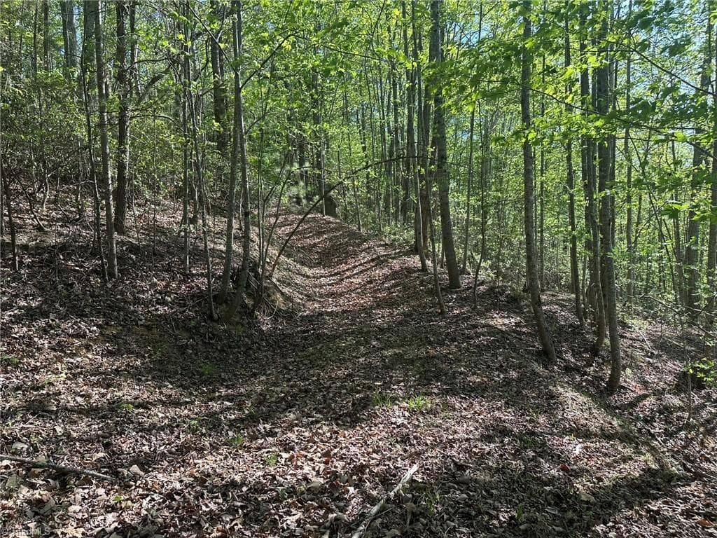 Unimproved Land at 000 NC Highway 268, Wilkesboro NC 28697, photo 45 of 49