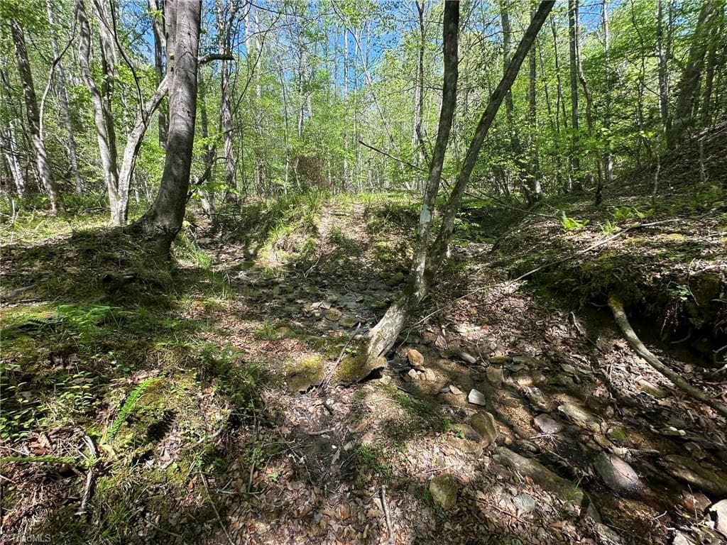 Unimproved Land at 000 NC Highway 268, Wilkesboro NC 28697, photo 18 of 49