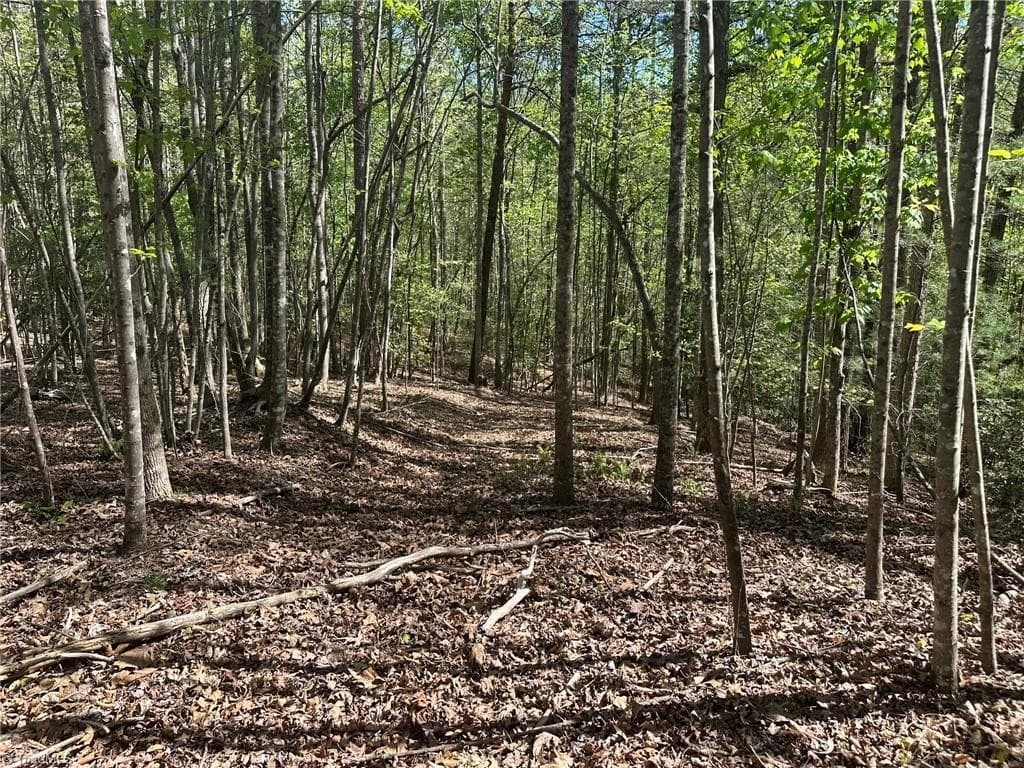 Unimproved Land at 000 NC Highway 268, Wilkesboro NC 28697, photo 37 of 49