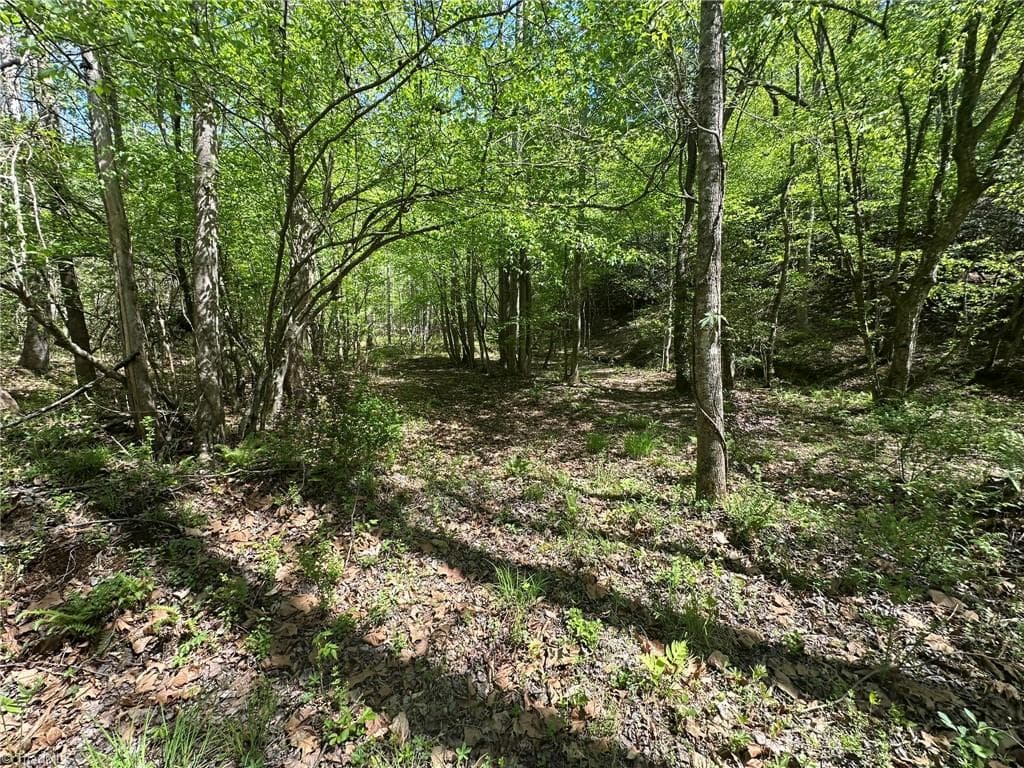 Unimproved Land at 000 NC Highway 268, Wilkesboro NC 28697, photo 15 of 49