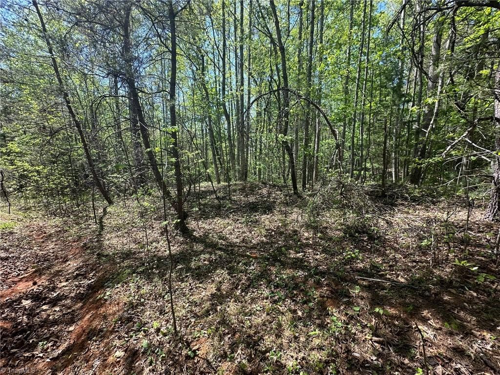 Unimproved Land at 000 NC Highway 268, Wilkesboro NC 28697, photo 11 of 49