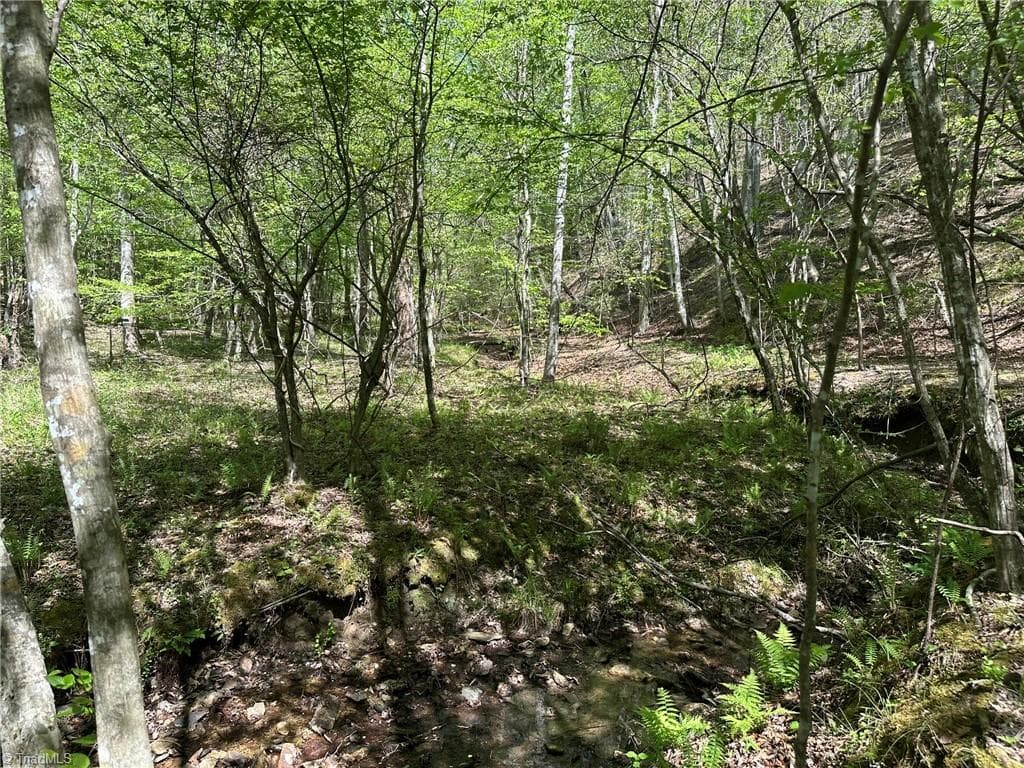 Unimproved Land at 000 NC Highway 268, Wilkesboro NC 28697, photo 19 of 49