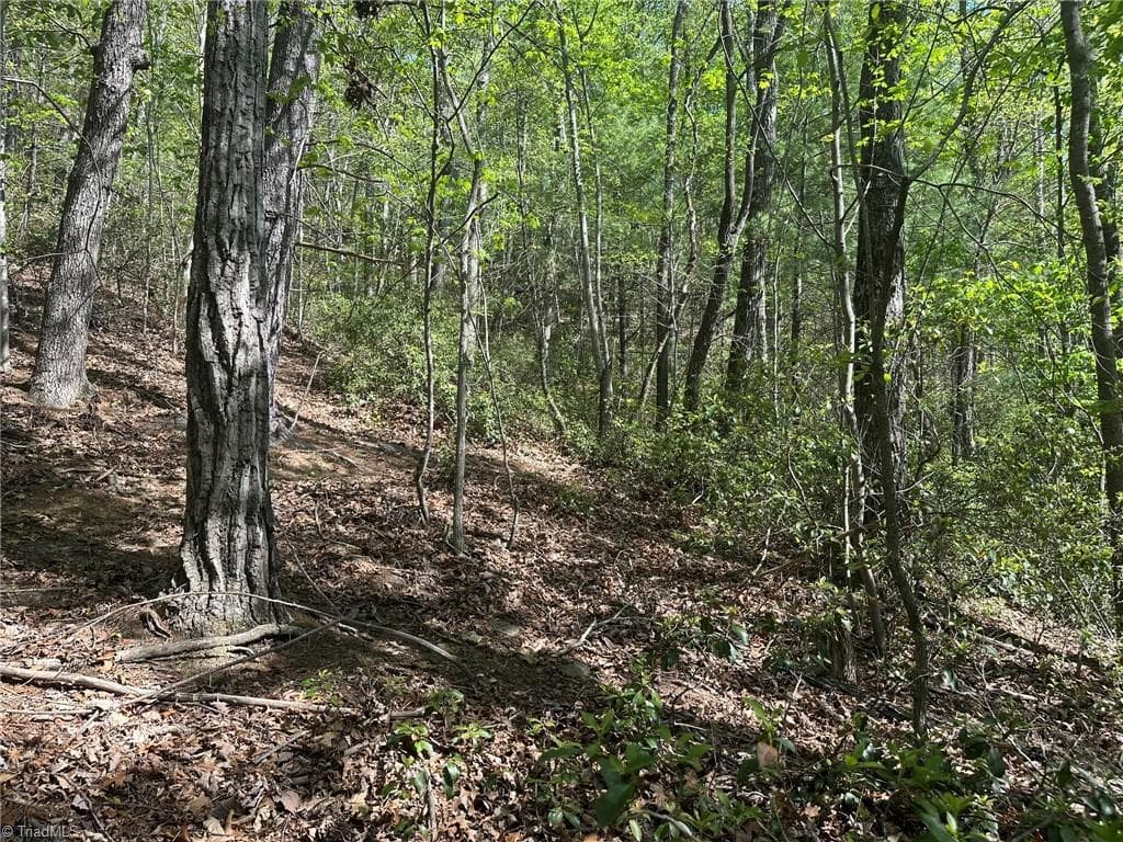 Unimproved Land at 000 NC Highway 268, Wilkesboro NC 28697, photo 40 of 49