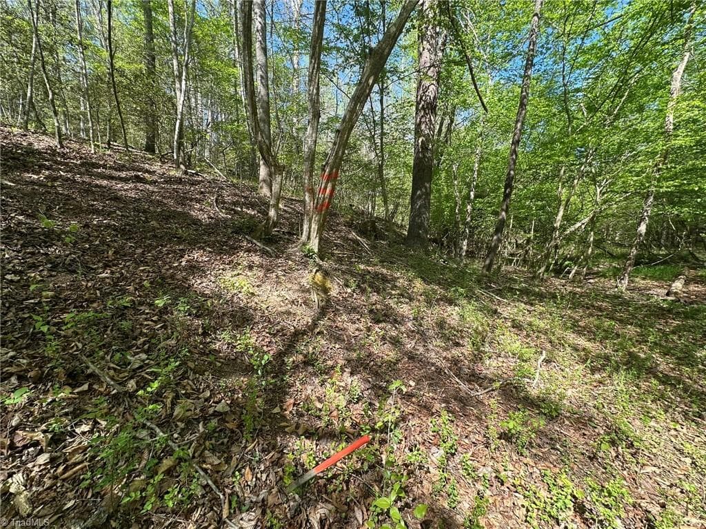 Unimproved Land at 000 NC Highway 268, Wilkesboro NC 28697, photo 35 of 49