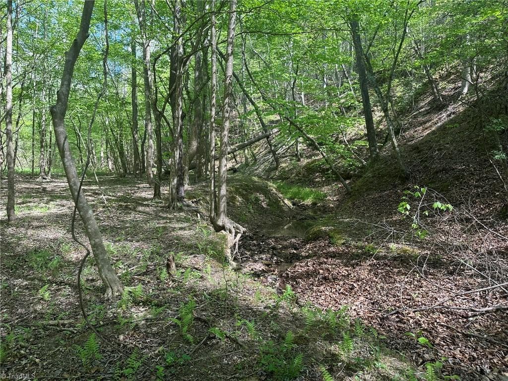 Unimproved Land at 000 NC Highway 268, Wilkesboro NC 28697, photo 31 of 49
