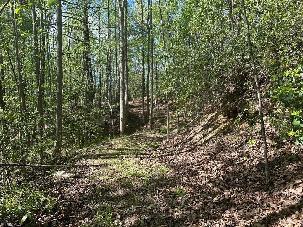 Unimproved Land at 000 NC Highway 268, Wilkesboro NC 28697, photo 39 of 49