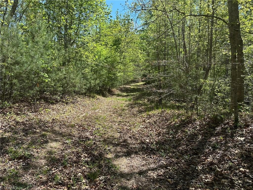 Unimproved Land at 000 NC Highway 268, Wilkesboro NC 28697, photo 8 of 49